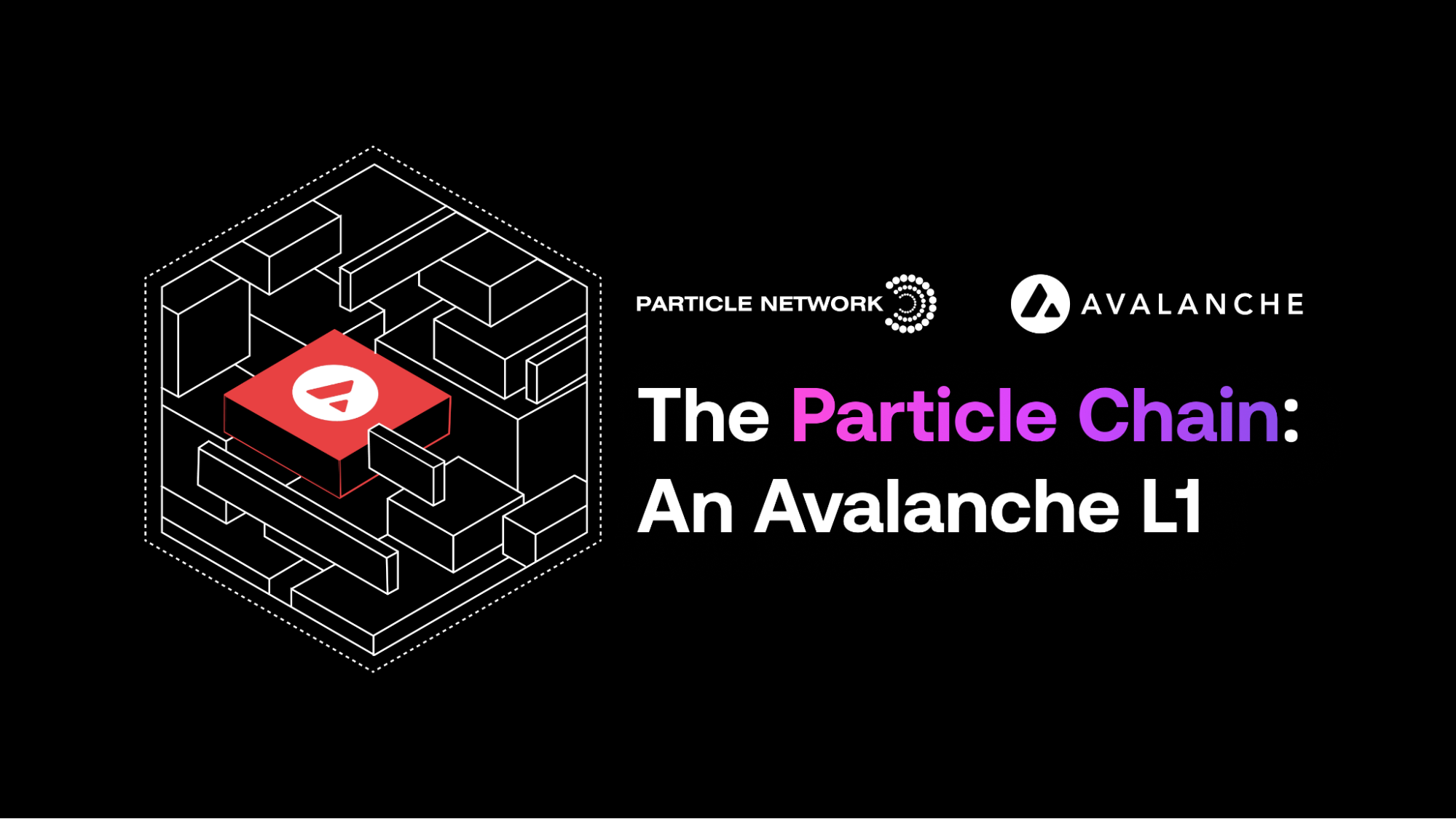 Particle Network（PARTI）