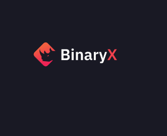 BinaryX（BNX）