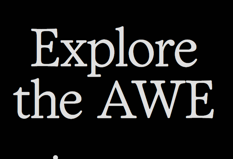 AWE Network（AWE）